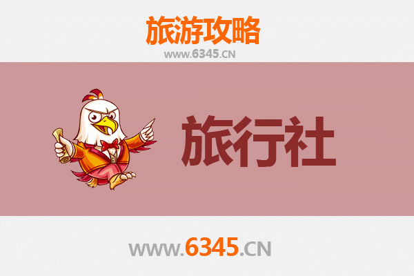 武汉东西湖本地旅行社推荐及深度游玩攻略